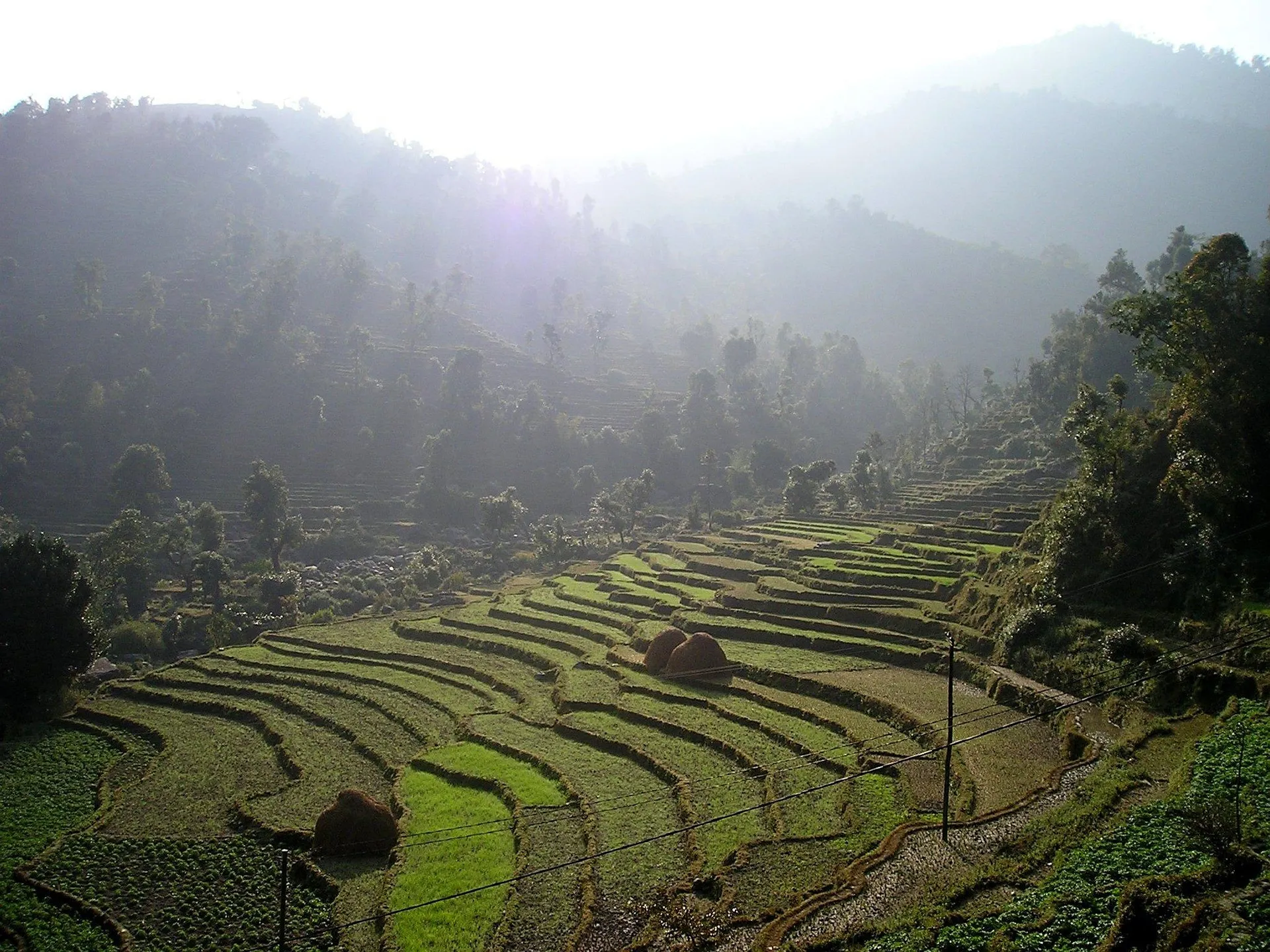 Nepal sustainable agriculture